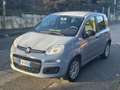 Fiat Panda 1.3 mjt 16v Easy s&s 95cv Grigio - thumbnail 5