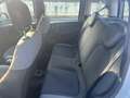 Fiat Panda 1.3 mjt 16v Easy s&s 95cv Grigio - thumbnail 10