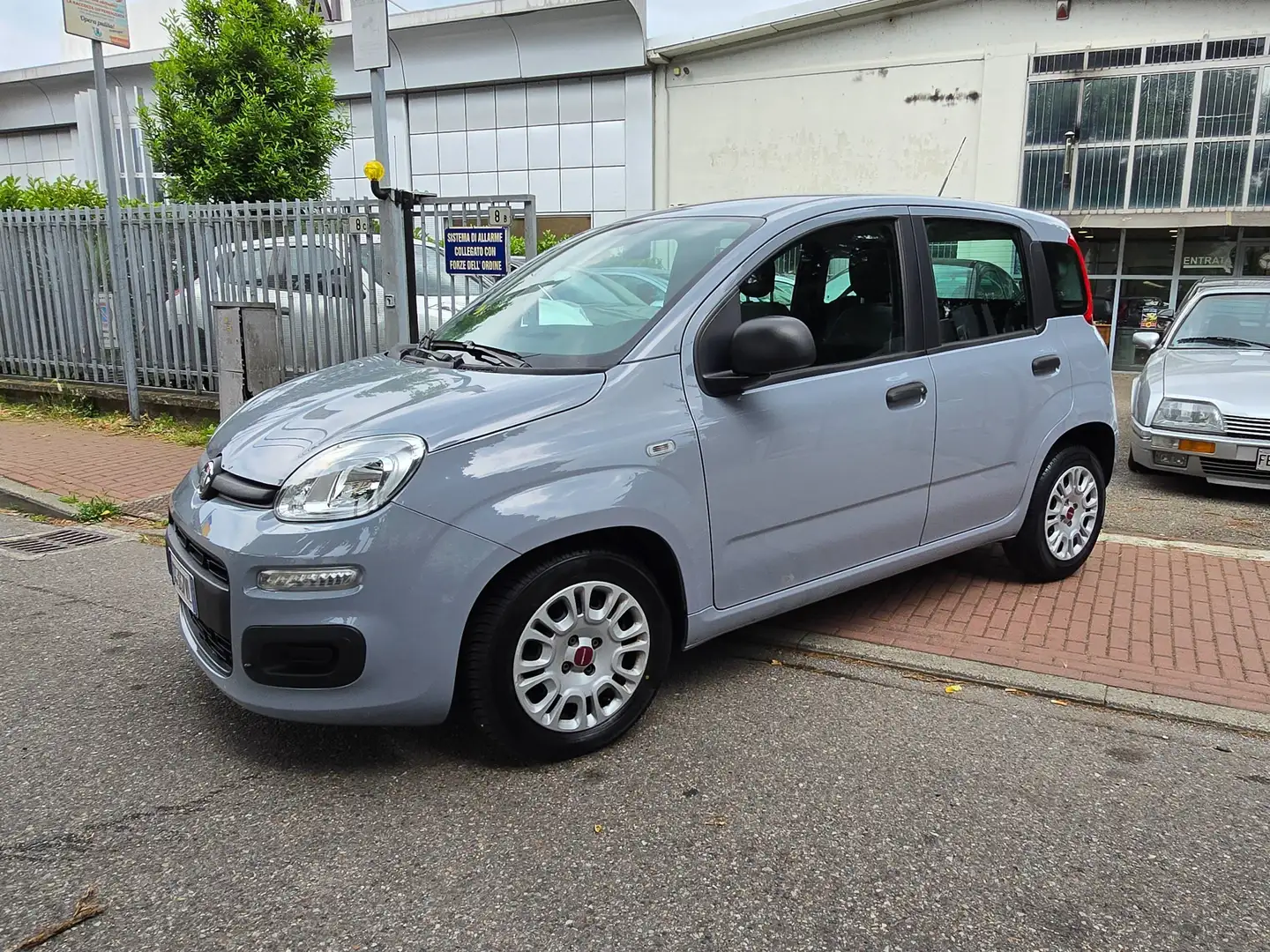 Fiat Panda Panda 1.0 Firefly Hybrid S&S OK NEOPATENTATI Grijs - 2