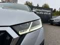 Skoda Octavia Combi 2,0 TDI DSG | AHK/PANO Silber - thumbnail 37