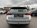 Skoda Octavia Combi 2,0 TDI DSG | AHK/PANO Silber - thumbnail 4