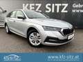 Skoda Octavia Combi 2,0 TDI DSG | AHK/PANO Silber - thumbnail 1