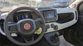 Fiat New Panda HYBRID CROSS 1.0cc 70cv ANDROID/CARPLAY Rouge - thumbnail 6