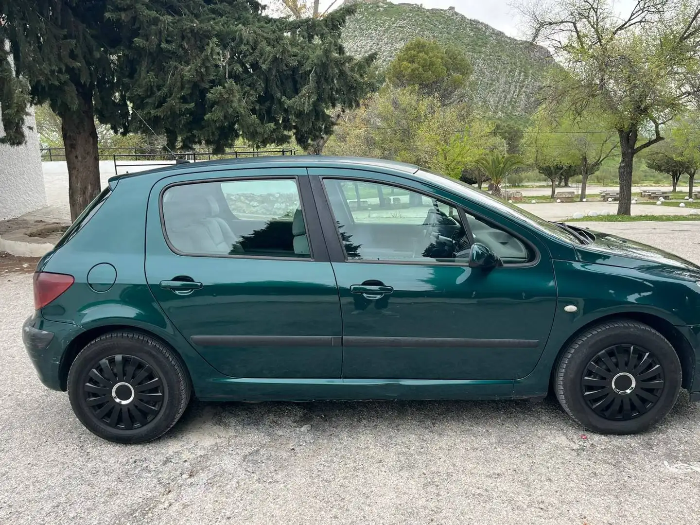 Peugeot 307 307 2.0HDI XS XS Verde - 2