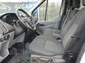Ford Transit FT 310 L2 Van Ambiente 130 Blanco - thumbnail 11