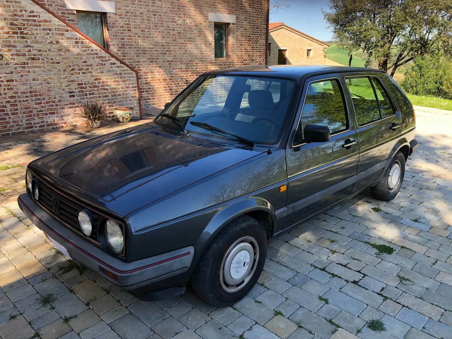 Volkswagen Golf GL Grigio - 2