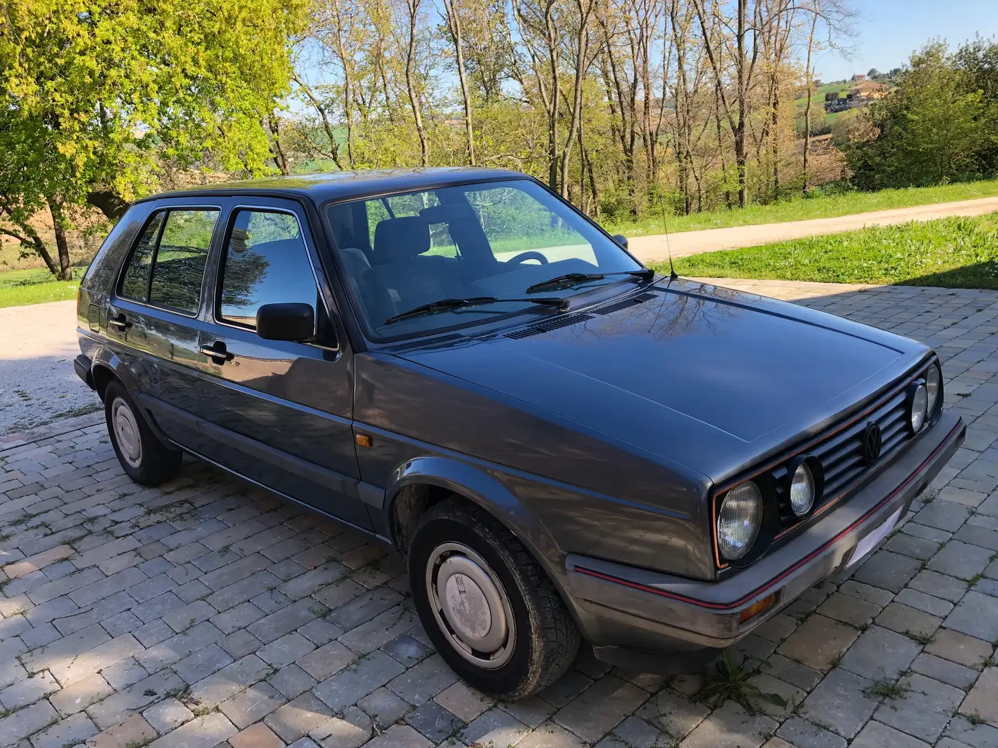 Volkswagen Golf GL Grigio - 1