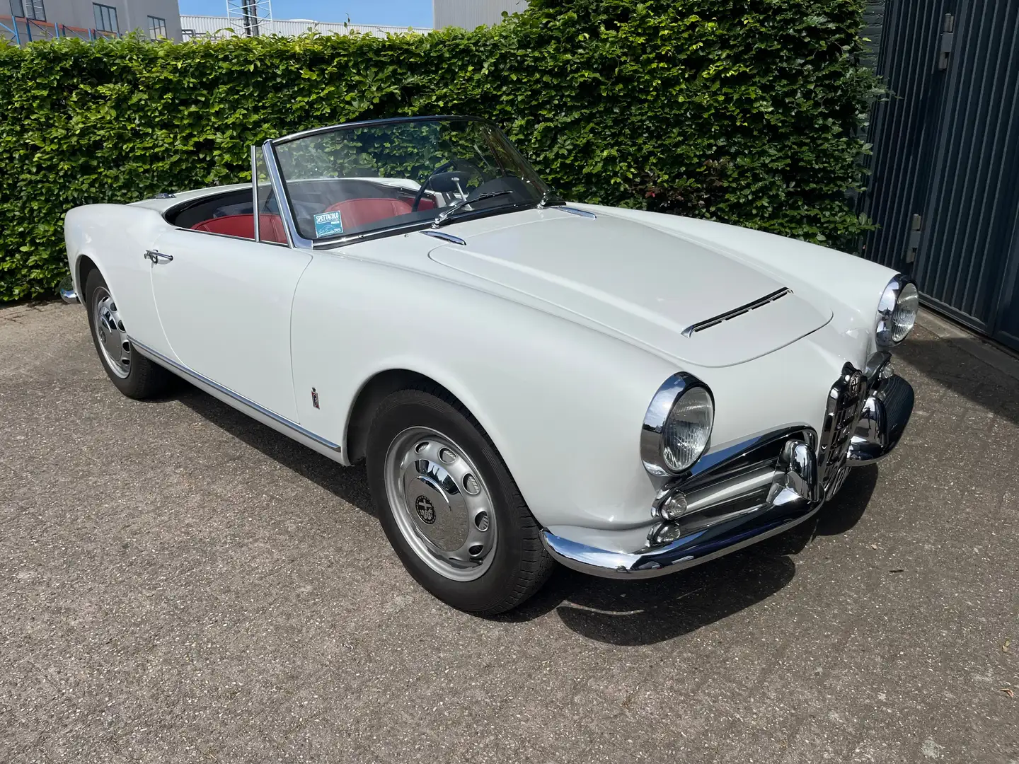Alfa Romeo Giulia Giulia Spider Blanco - 2