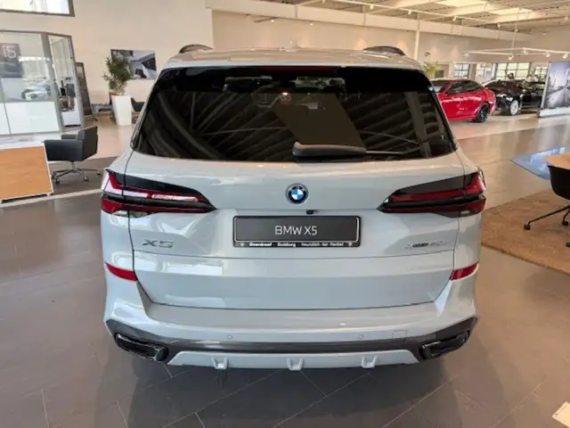 BMW X5 view 10