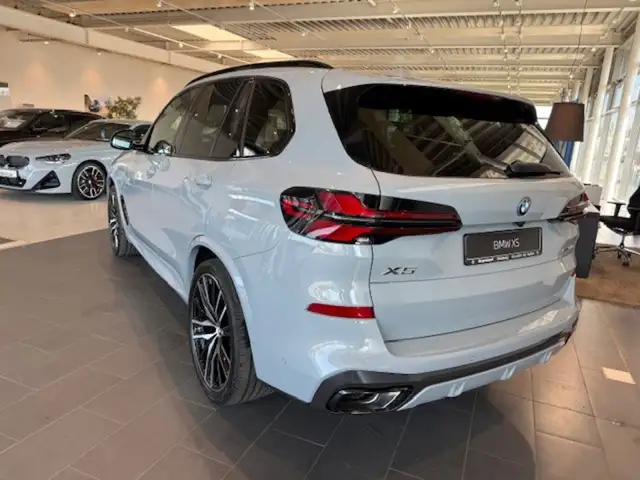 BMW X5 view 9