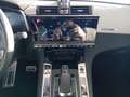 DS Automobiles DS 7 Crossback DS7 Crossback E-Tense Rivoli *Leder*Navi* Wit - thumbnail 17