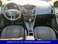Ford Focus Turnier 1.0 EcoBoost Automatik Bleu - thumbnail 11