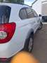 Chevrolet Captiva Captiva 2.2 TCDi AWD LT S Wit - thumbnail 11