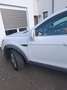 Chevrolet Captiva Captiva 2.2 TCDi AWD LT S Wit - thumbnail 13