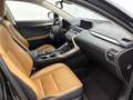 Lexus NX 300h AWD Luxury Line Zwart - thumbnail 26
