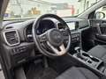 Kia Sportage 1.6 CRDI 136 CV 2WD Mild Hybrid Business Class Argento - thumbnail 7