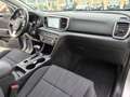 Kia Sportage 1.6 CRDI 136 CV 2WD Mild Hybrid Business Class Argento - thumbnail 11