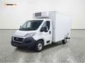 Fiat Ducato Netto €24 983 · ABS · Abstandstempomat · Kl Weiß - thumbnail 1