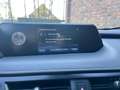 Lexus UX 250h Executive Line Camera PDC Nero - thumbnail 20