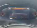 SEAT Ibiza 1.0 TSI S&S Special Edition 110 Azul - thumbnail 17