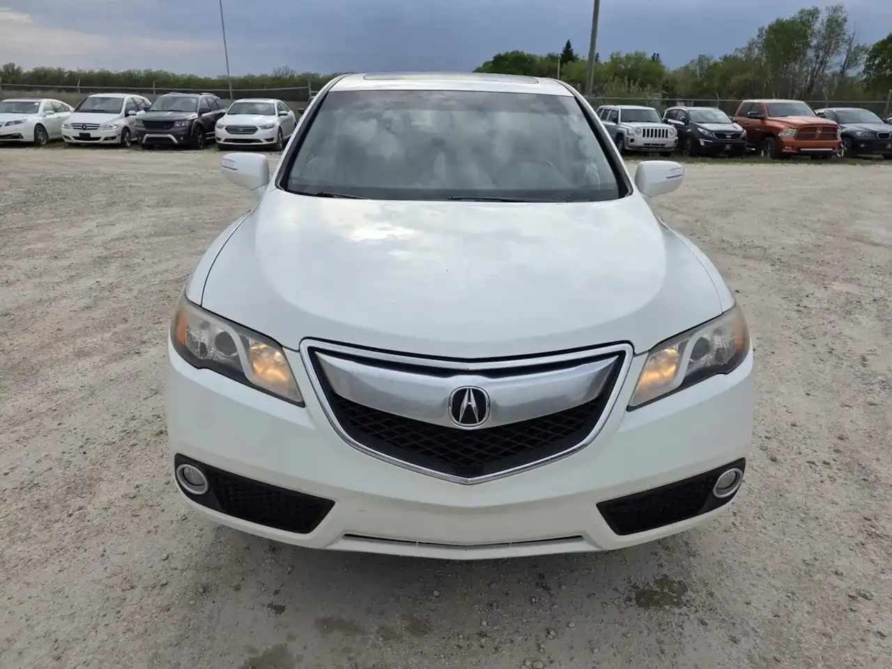 Acura RDX fotografie Acura RDX