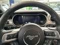 Ford Mustang Convertible 5.0 Ti-VCT V8 Aut. GT 330 kW, Gris - thumbnail 11