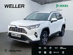 Toyota RAV 4 2.5 Hybrid Team D *Technik Paket*ACC*RCam*