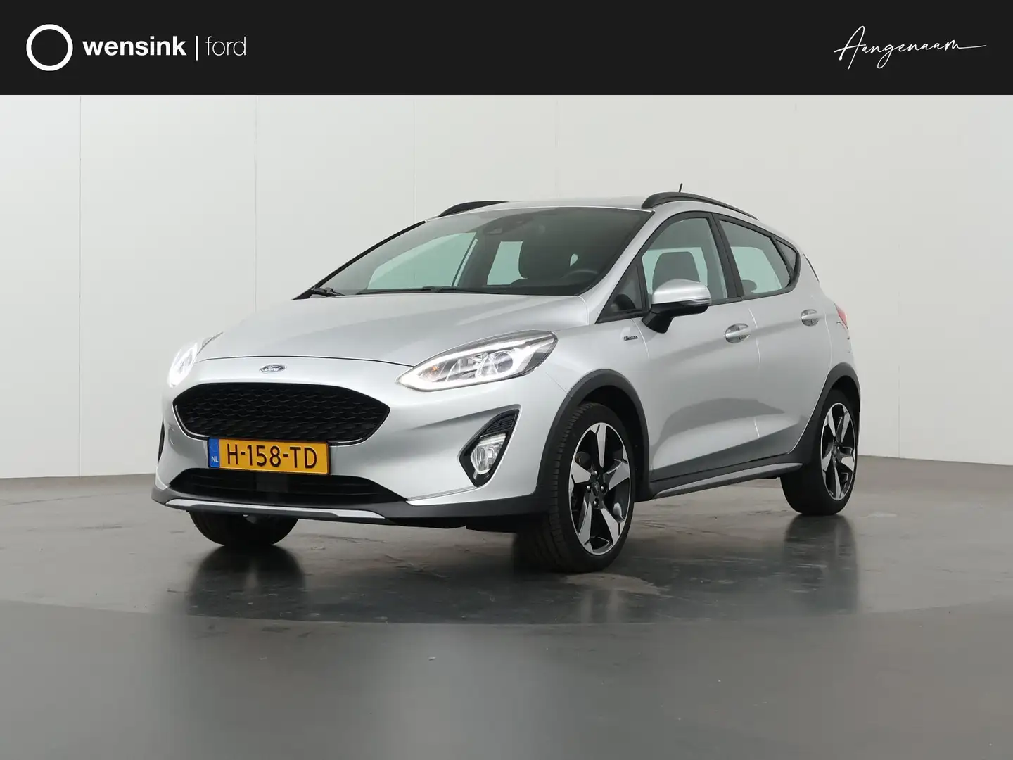 Ford Fiesta 1.0 EcoBoost Active X | Navigatie | Winterpack | P Gris - 1