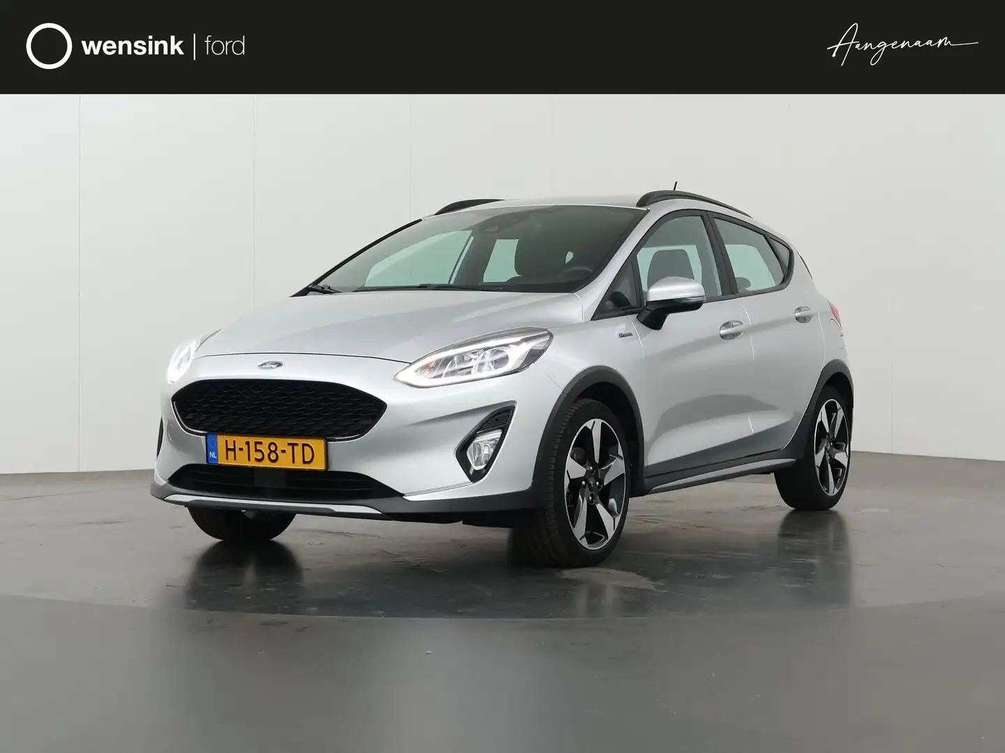 Ford Fiesta 1.0 EcoBoost Active X | Navigatie | Winterpack | P Gris - 1