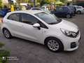 Kia Rio Rio 5p 1.2 Cool eco Gpl Bianco - thumbnail 3