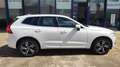 Volvo XC60 D4 Inscription Premium Edition Weiß - thumbnail 4