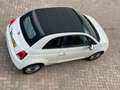 Fiat 500C 0.9 TwinAir Turbo Young- LM velgen- Airco Wit - thumbnail 14