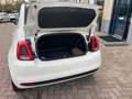 Fiat 500C 0.9 TwinAir Turbo Young- LM velgen- Airco Blanc - thumbnail 22