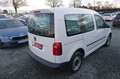 Volkswagen Caddy 1.0 lück.VW-Scheckheft TÜV NEU KLIMAAUT Weiß - thumbnail 5