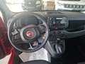 Fiat Panda 1.0 FireFly S&S Hybrid Rosso - thumbnail 11