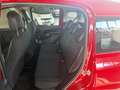 Fiat Panda 1.0 FireFly S&S Hybrid Rosso - thumbnail 9