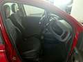 Fiat Panda 1.0 FireFly S&S Hybrid Rosso - thumbnail 8