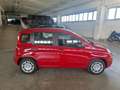 Fiat Panda 1.0 FireFly S&S Hybrid Rosso - thumbnail 6