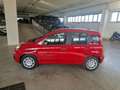 Fiat Panda 1.0 FireFly S&S Hybrid Rosso - thumbnail 3