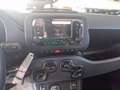 Fiat Panda 1.0 FireFly S&S Hybrid Rosso - thumbnail 13