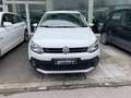Volkswagen Polo Cross Polo 5p 1.4 tdi bm Cross uso NEOATENTATI Bianco - thumbnail 6