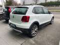 Volkswagen Polo Cross Polo 5p 1.4 tdi bm Cross uso NEOATENTATI Bianco - thumbnail 4