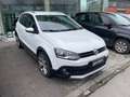 Volkswagen Polo Cross Polo 5p 1.4 tdi bm Cross uso NEOATENTATI Bianco - thumbnail 2