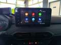 Dacia Sandero Stepw.Comf.ECO-G,LPG.-Klima.-Navig.-PDC.-Kamera.- Rot - thumbnail 16