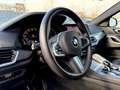 BMW X6 xDrive 30d M Sport Paket/PANO/HUD/360°CAM/H&K Gris - thumbnail 10