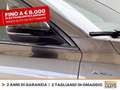 Ford Focus active 1.0 ecoboost h design 125cv Grigio - thumbnail 16