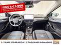 Ford Focus active 1.0 ecoboost h design 125cv Grigio - thumbnail 11