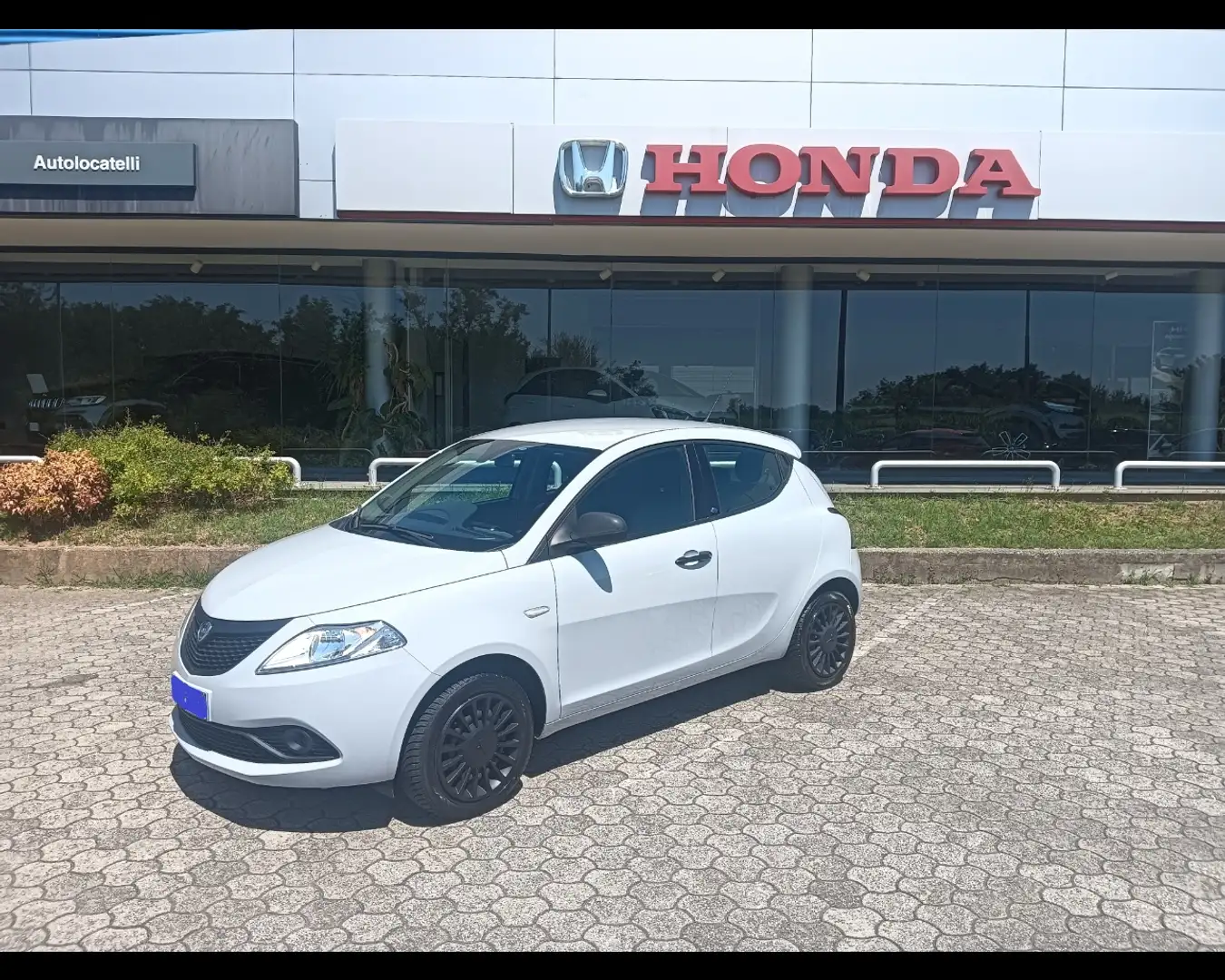 Lancia Ypsilon 5 Porte 1.2  Elefantino Grigio - 1