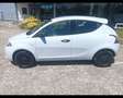 Lancia Ypsilon 5 Porte 1.2  Elefantino Grigio - thumbnail 5