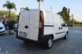 Fiat Doblo 1.9 Jtd  SX Cargo Lamierato - Clima/abs/serv. White - thumbnail 4